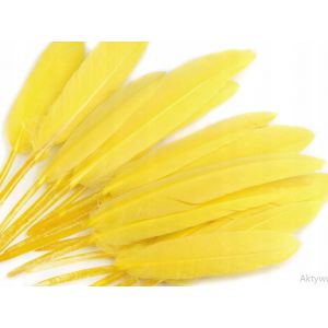 Piórka lotki Czakos 17cm, Żółte